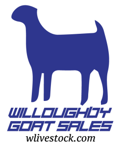 Willoughby Livestock Sales